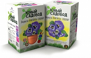 Набор для экспериментов Юный садовод - Вырасти анютины глазки (Висма, 410пл)